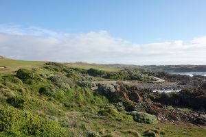 Cape Wickham 16th 2026